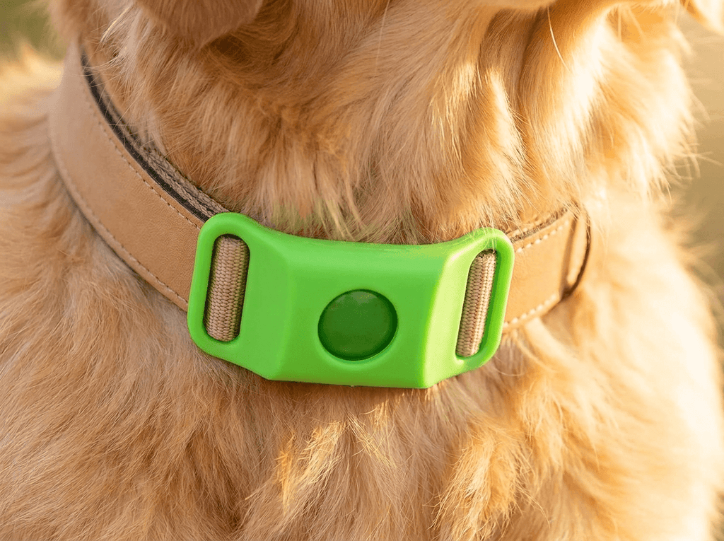 Pawfies™ Natural Flea & Tick Tag for Dogs