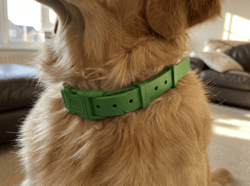 Pawfies™ Natural Flea & Tick Collar for Dogs