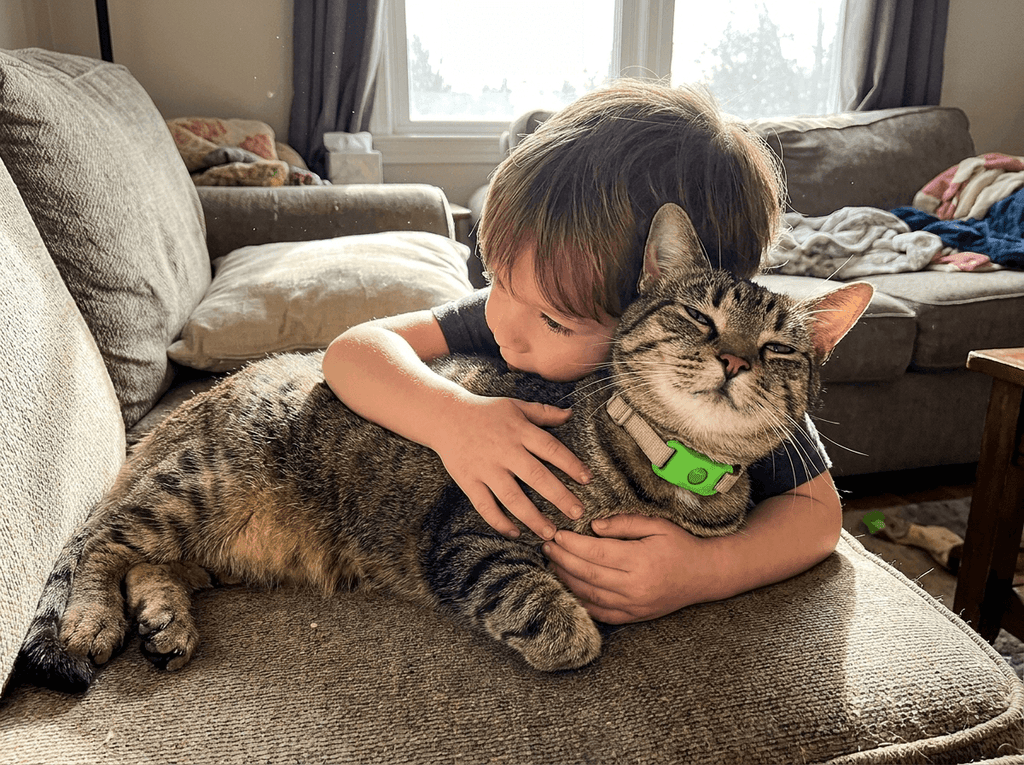 Pawfies™ Natural Flea & Tick Tag for Cats