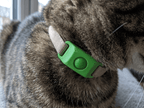 Pawfies™ Natural Flea & Tick Tag for Cats