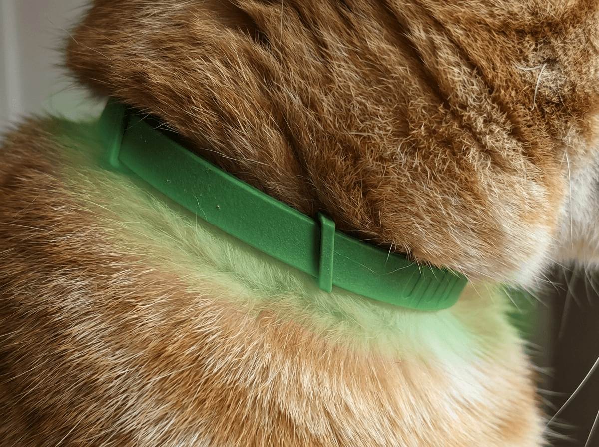 Pawfies™ Natural Flea & Tick Collar for Cats